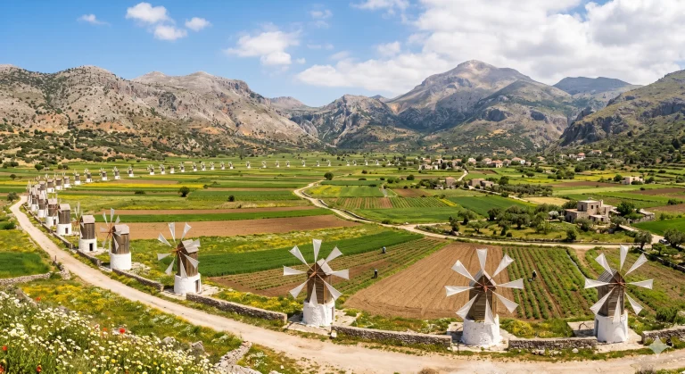 Platoul Lasithi din Creta cu mori de vant traditionale si munti in fundal
